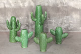 Cactus vase small