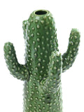 Cactus vase medium