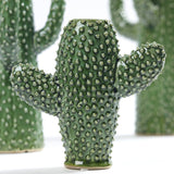 Cactus vase small