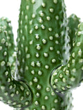 Cactus vase medium