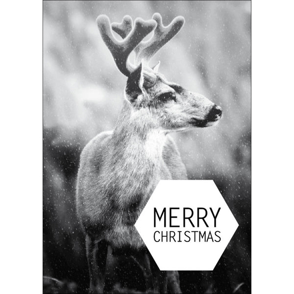 Christmas postcard deer Merry Christmas